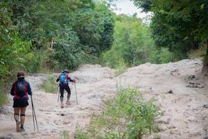 BIB: 
                            <button type="button" onclick="openModal(13715885)" class="btn btn-primary btn-sm float-right btn-popup" data-toggle="modal" data-target=".modal-high-quality">
                        <i class="fas fa-shopping-cart"></i> Add to Cart
                    </button>
                                            <button type="button" onclick="isThisMe(13715885, true)" class="btn btn-success btn-sm float-right btn-popup btn-isme hidden" data-toggle="tooltip" data-placement="bottom" title="นี่คือรูปของคุณใช่ไหม คลิกที่นี่เพื่อเอาเข้าอัลบั้ม">
                        <i class="fas fa-plus"></i> Add to album
                    </button>
                    <button type="button" onclick="isThisMe(13715885, false)" class="btn btn-warning btn-sm float-right btn-popup btn-isnotme hidden">
                        <i class="fas fa-ban"></i> Remove from album
                    </button>